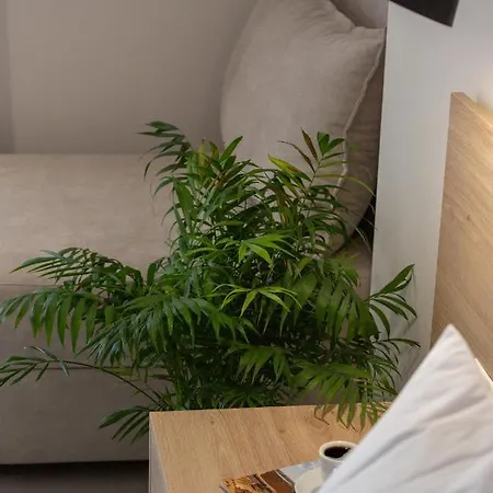Hotel Calives Premium