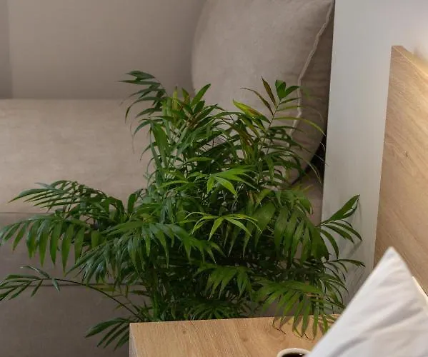 Szálloda Calives Premium